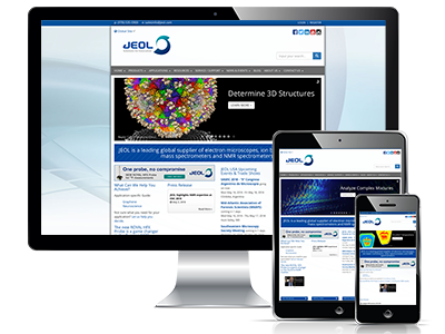 website picture